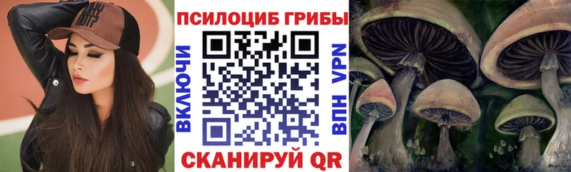 Галлюциногенные грибы MAGIC MUSHROOMS Боровичи